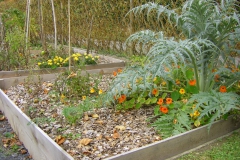 Jardin au carré oct.2010 002