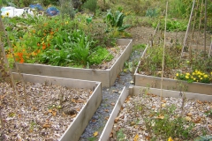 Jardin au carré oct.2010 003