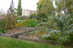 Jardin au carré oct.2010 006